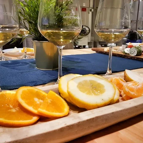 Explorez les arômes de trois vins à Alcamo
