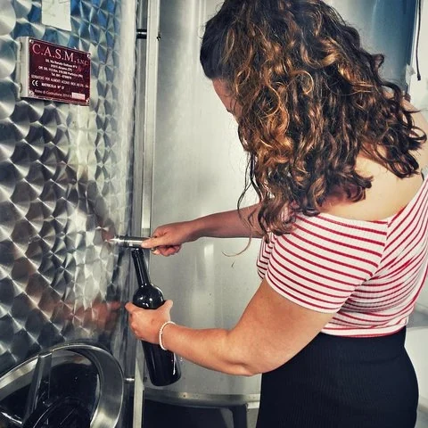 Explorez les arômes de trois vins à Alcamo