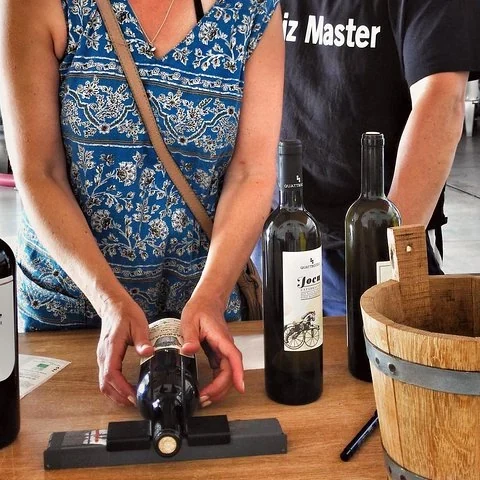 Descubre los aromas de tres vinos en Alcamo