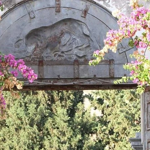 Wine, history and lunch at Baglio Florio Adamo