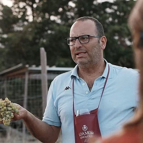 Vino, historia y almuerzo en el Baglio Florio Adamo