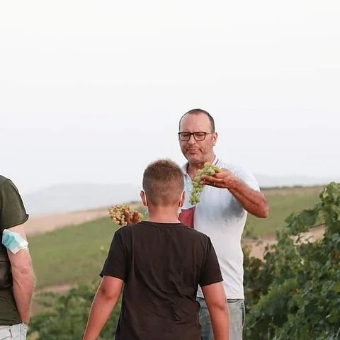 Vino, historia y almuerzo en el Baglio Florio Adamo