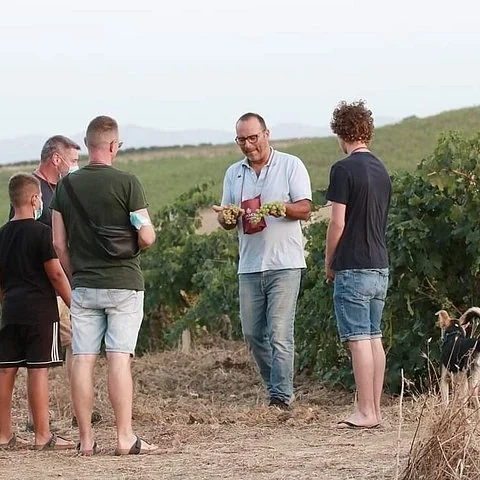Vino, historia y almuerzo en el Baglio Florio Adamo