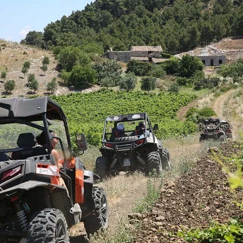 Segesta en 4x4: paisaje rural y vistas al templo