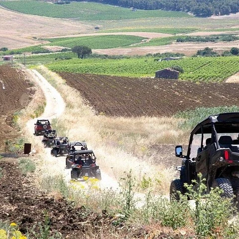 Segesta by 4x4: countryside and temple views