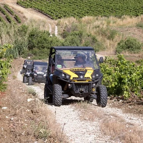 Segesta by 4x4: countryside and temple views