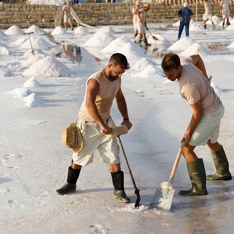 Understand the Culcasi salt pans and learn to harvest salt