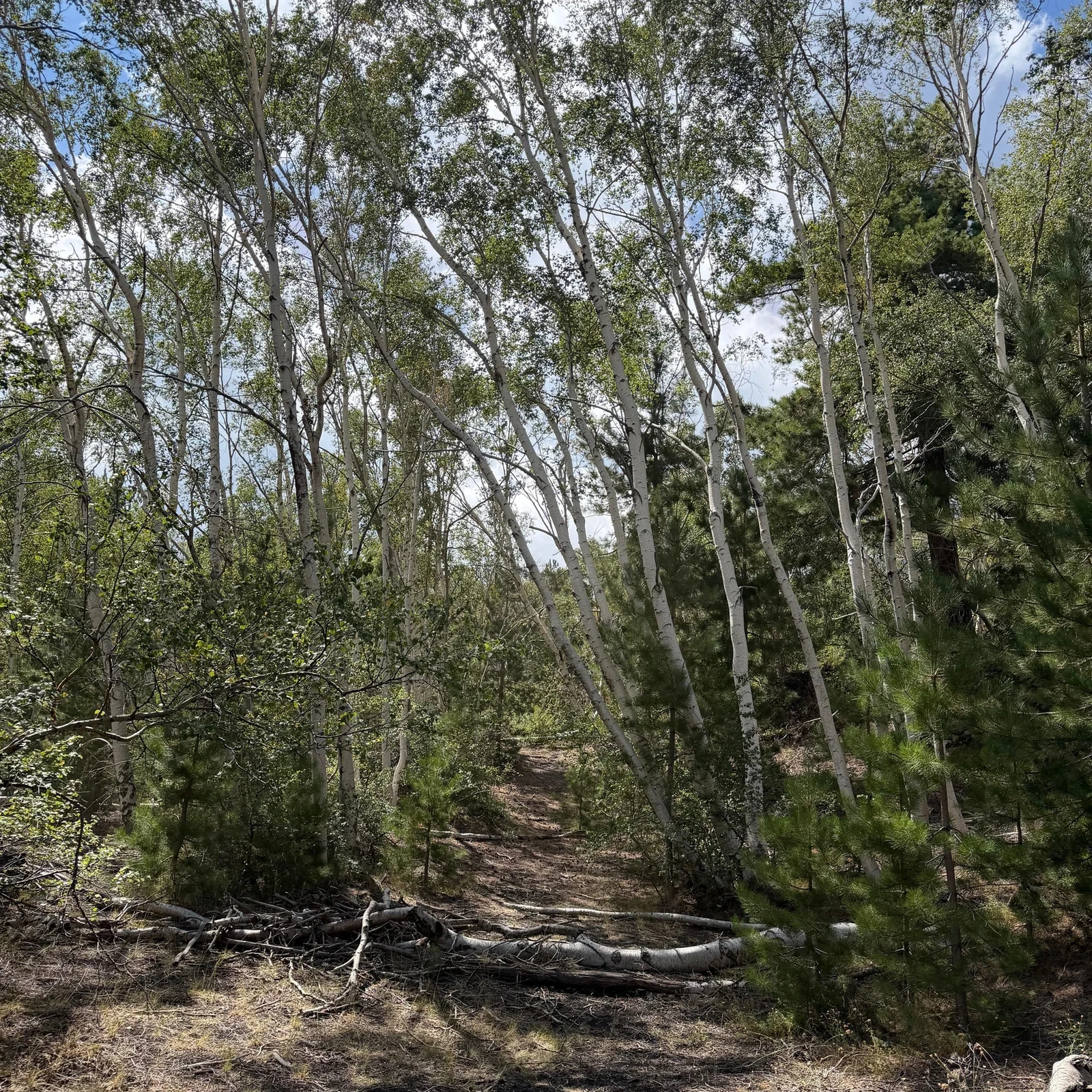Des paysages volcaniques de l’Etna à la rivière Alcantara