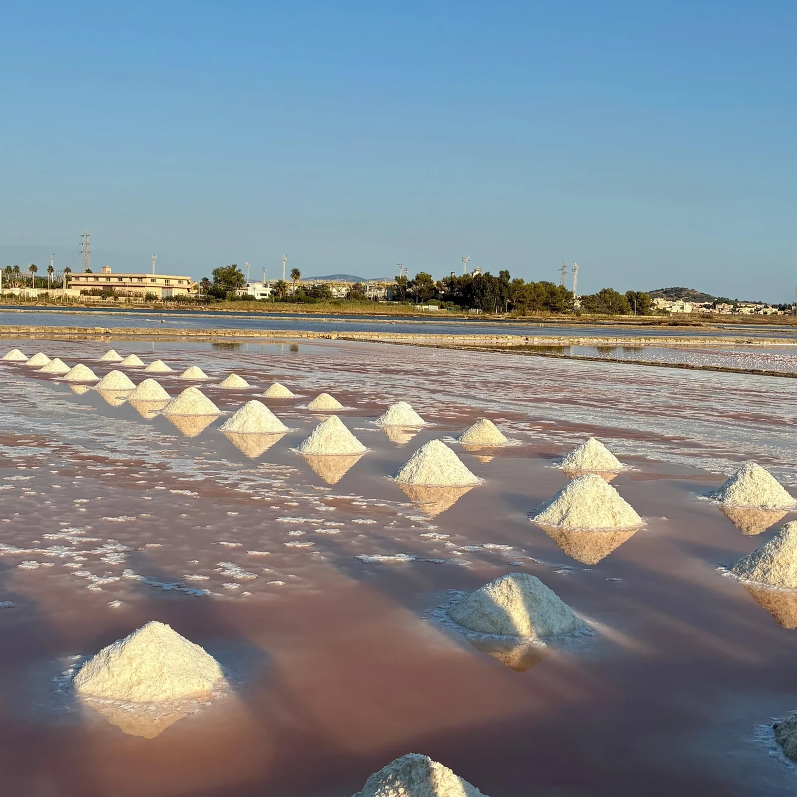 Halte nach Flamingos Ausschau und entdecke das Leben in Trapanis Salinen