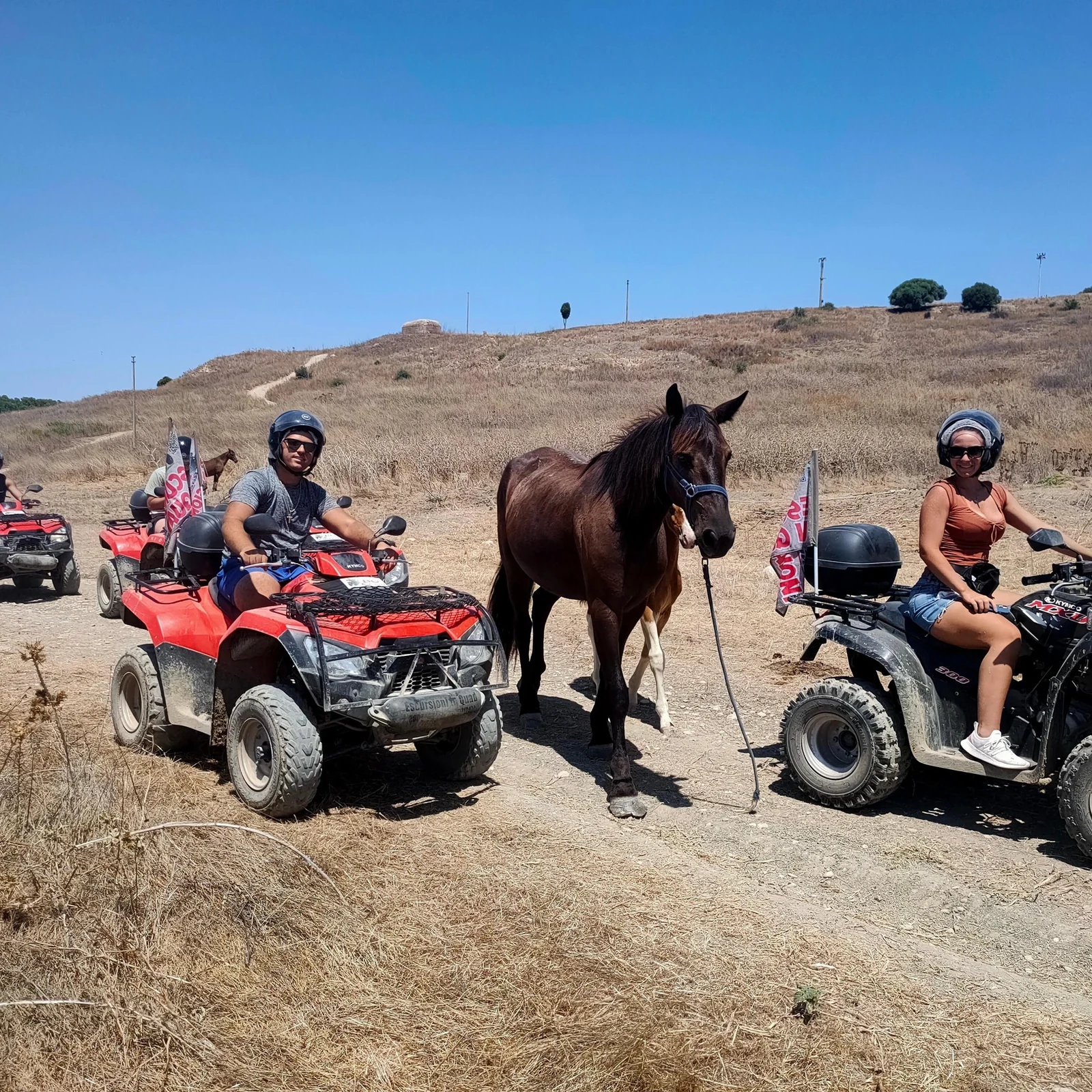 Entdecke Siziliens Landschaft und Küste mit dem Quad ab Ribera