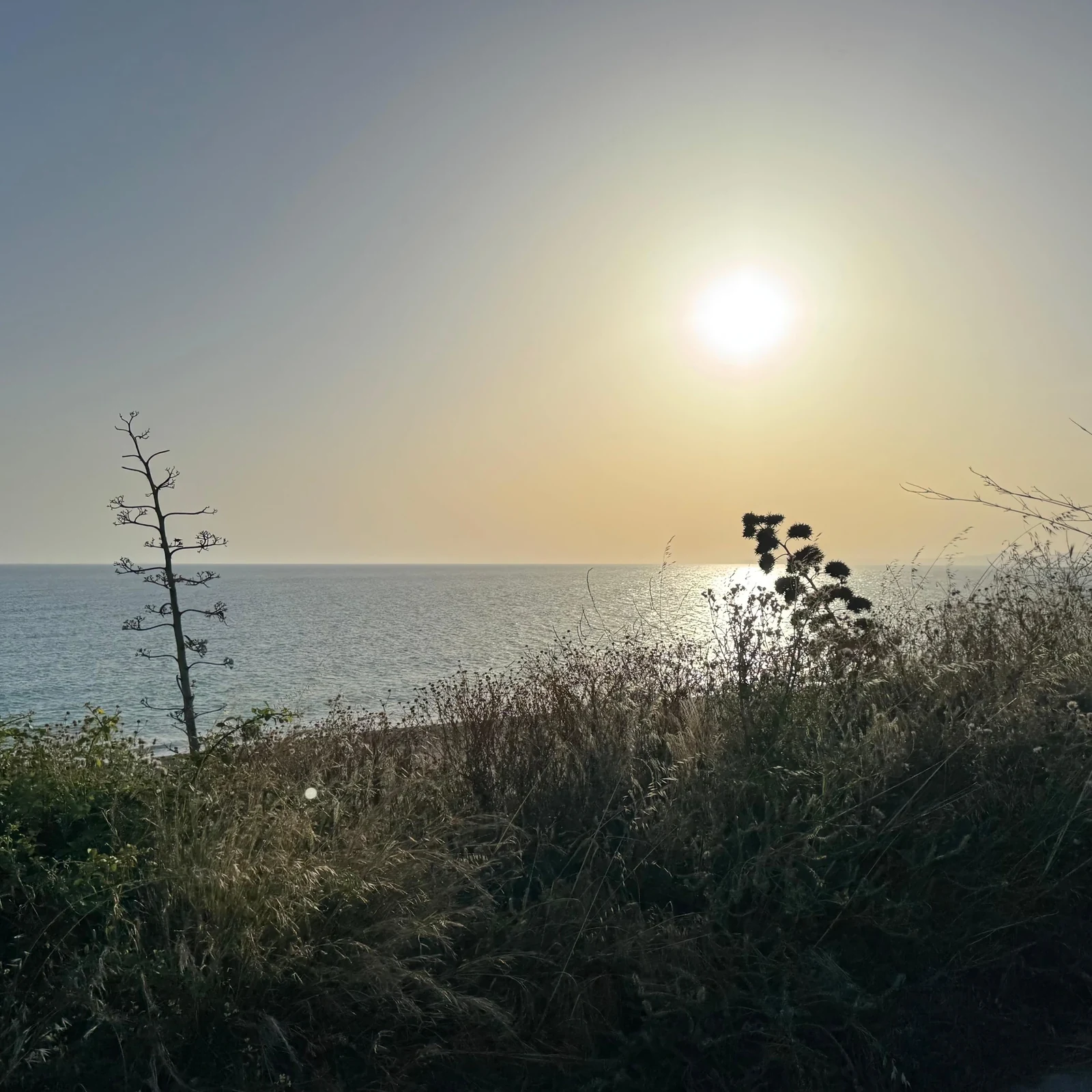 Explorez la campagne et la côte siciliennes en quad depuis Ribera