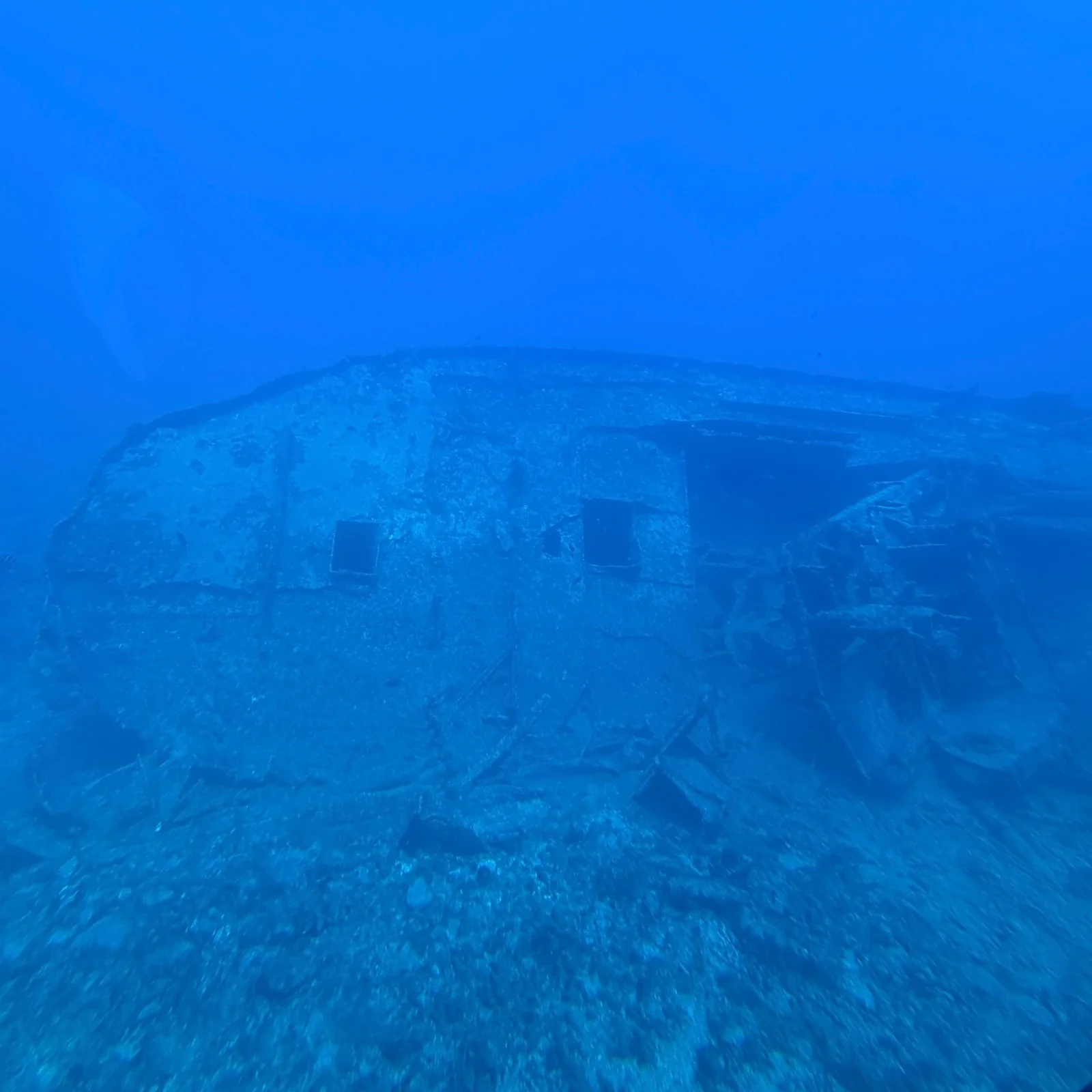 Puerto de Mogán: U-Boot-Tour mit der Golden Shark