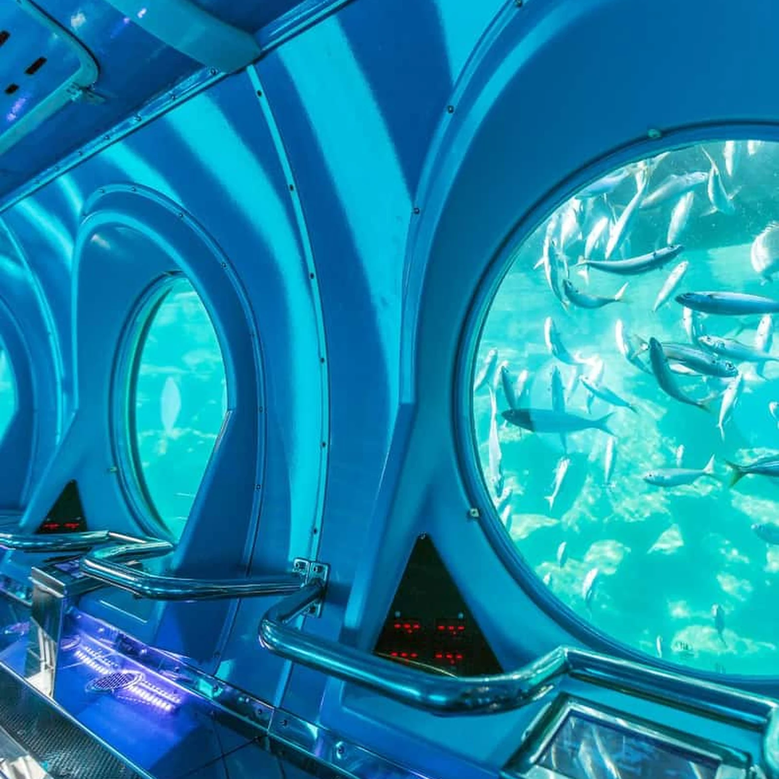 See Mogán’s seabed through a submarine window