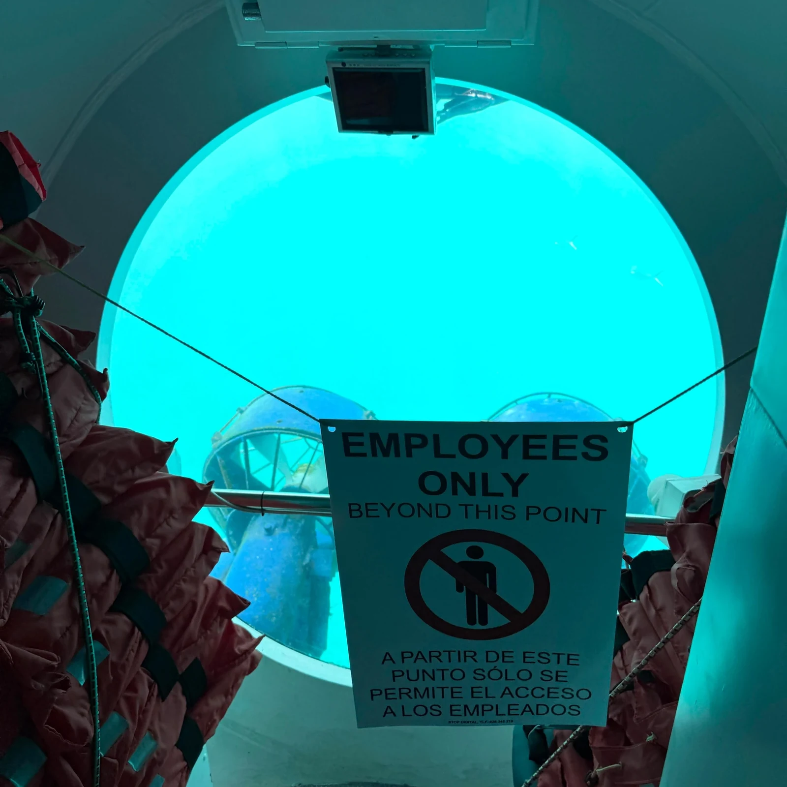 See Mogán’s seabed through a submarine window