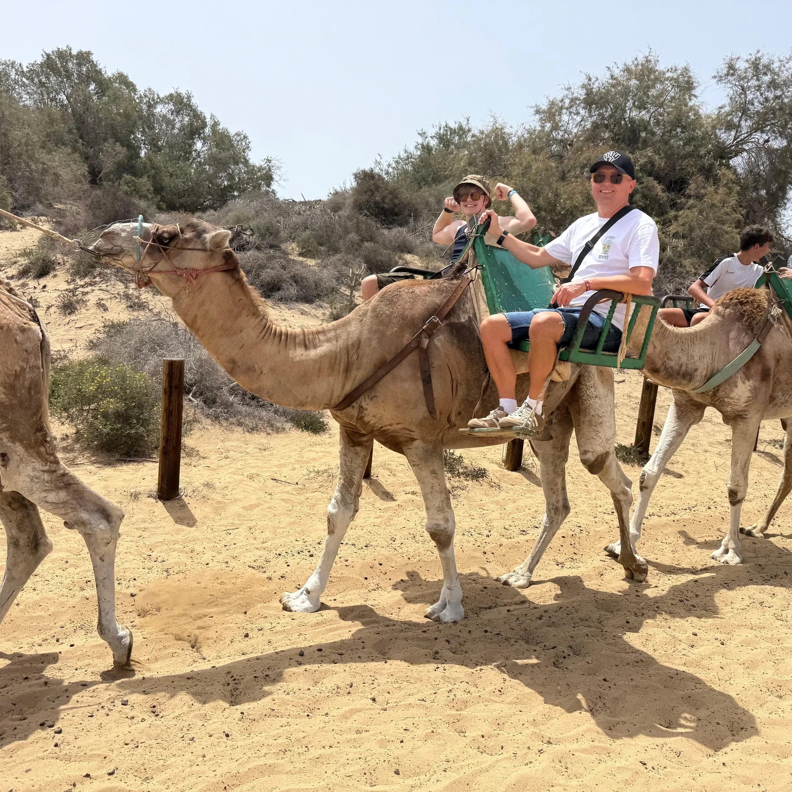 Kamelritt durch die Dünen von Maspalomas | TourBookGo