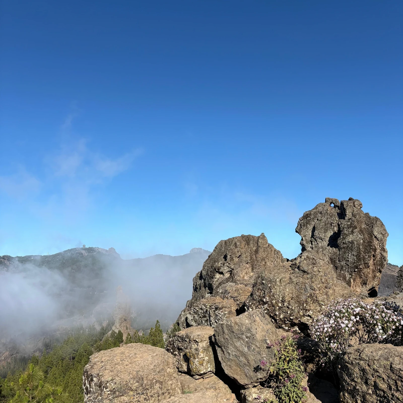 Marchez dans les paysages volcaniques de Gran Canaria avant le coucher du soleil