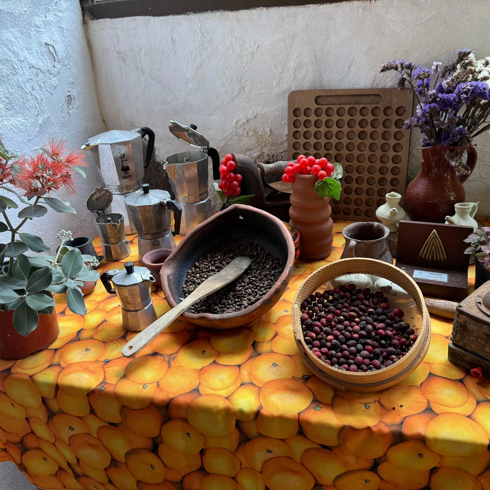 De la banane au café : une journée dans le nord de Gran Canaria
