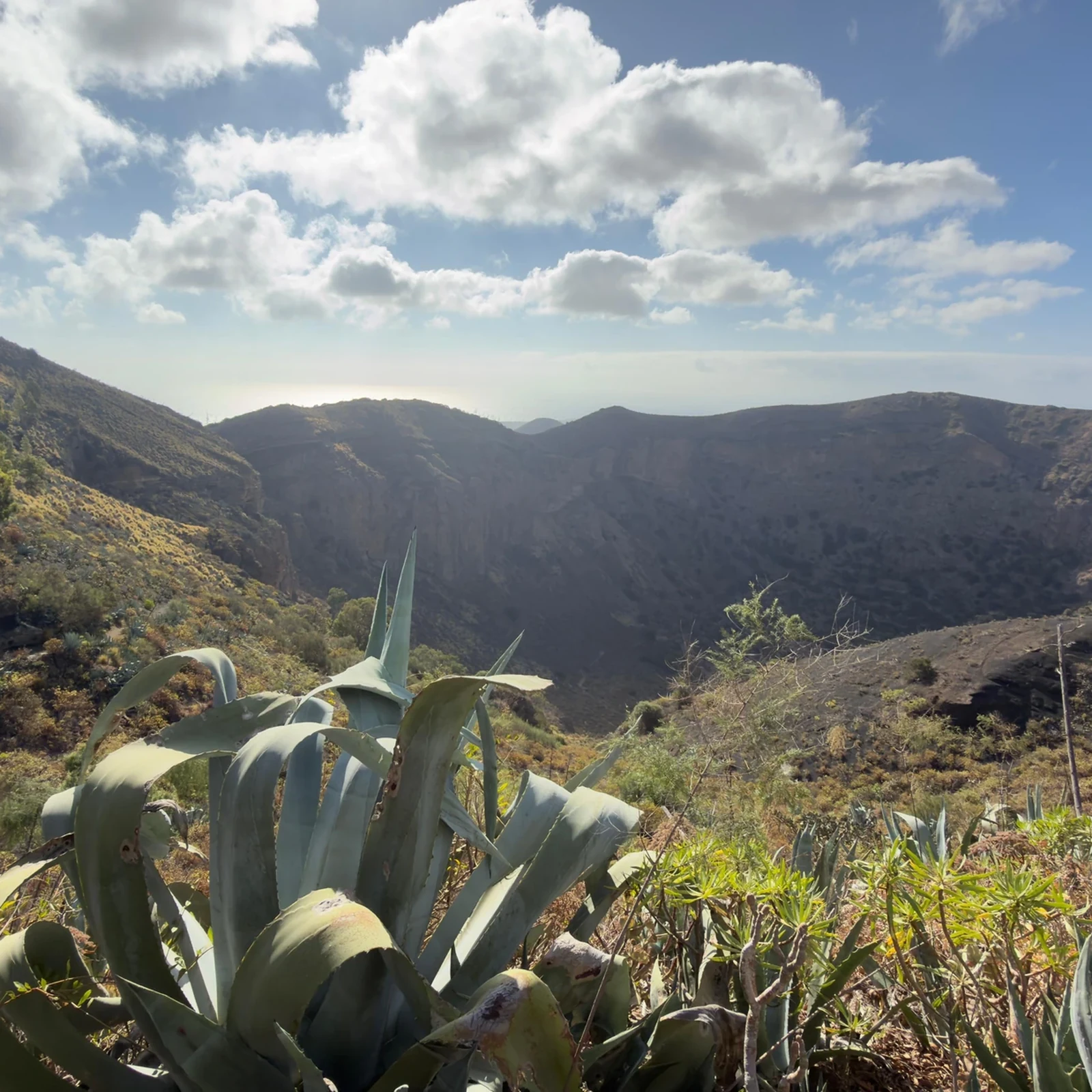Las Palmas entre calles históricas, jardines y paisaje volcánico