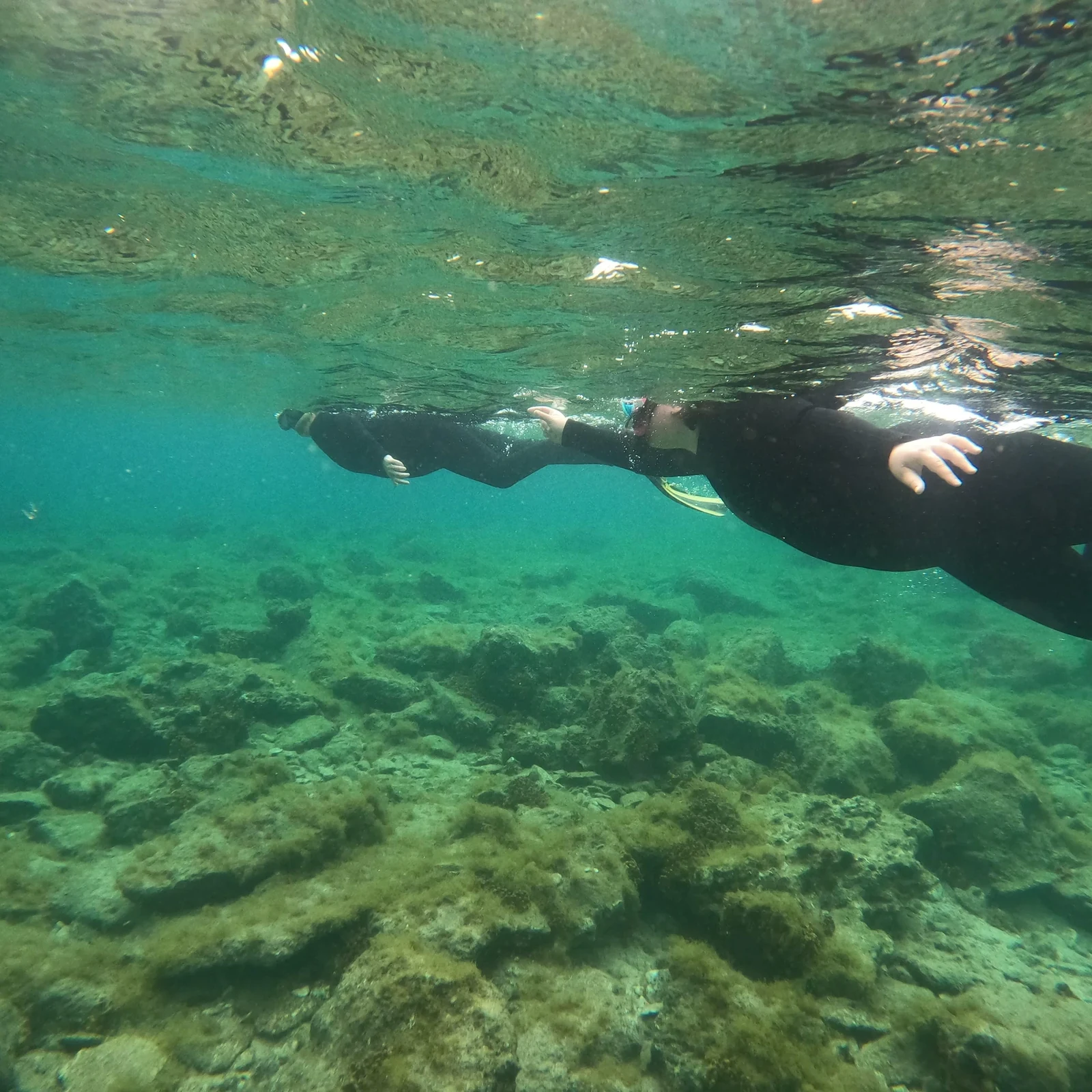 Explore Las Canteras beneath the surface with an instructor