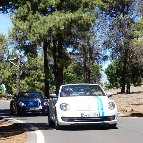 Beetle-Cabrio-Ausflug auf Gran Canaria | TourBookGo