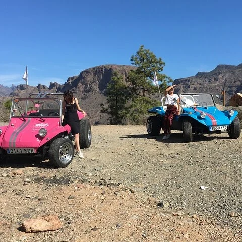 La côte et les canyons à bord d'un buggy classique