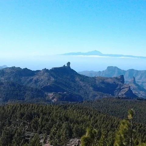 Gran Canaria an einem Tag von Norden nach Süden