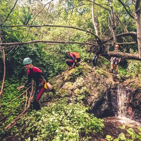 Folge dem Wasser durch Wasserfälle und Lorbeerwald