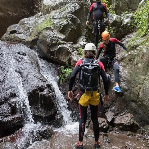 Folge dem Wasser durch Wasserfälle und Lorbeerwald