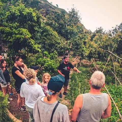 Camina por Azuaje y descubre los sabores de Gran Canaria