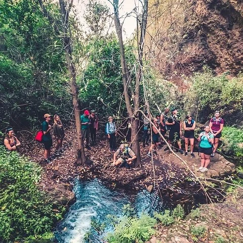 Camina por Azuaje y descubre los sabores de Gran Canaria