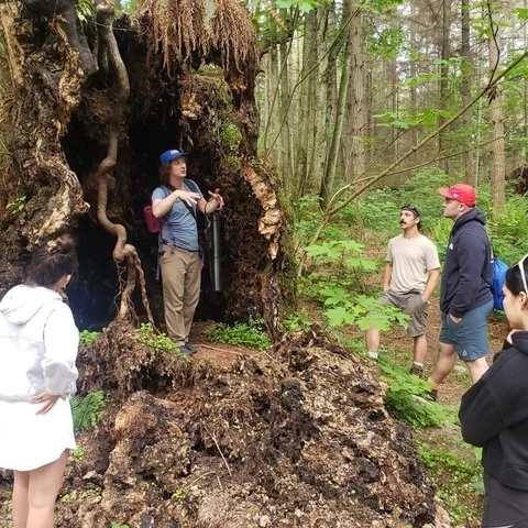 Découvrez à pied la forêt ancienne de Stanley Park