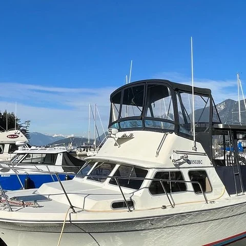 Recorre Howe Sound desde el barco o entra en el agua
