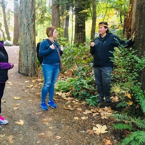 Entdecke den Wald im Stanley Park durch seine Geschichten