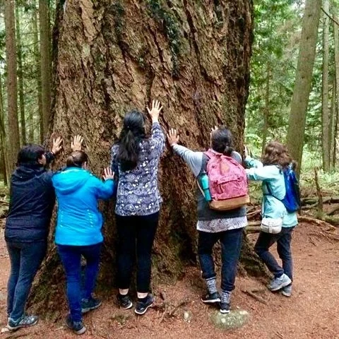 Entdecke den Wald im Stanley Park durch seine Geschichten