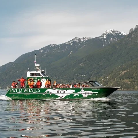 Observation des baleines à Vancouver en bateau de plein air | TourBookGo