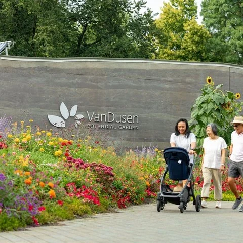 Pflanzen, Kunst und Heckenirrgarten im VanDusen