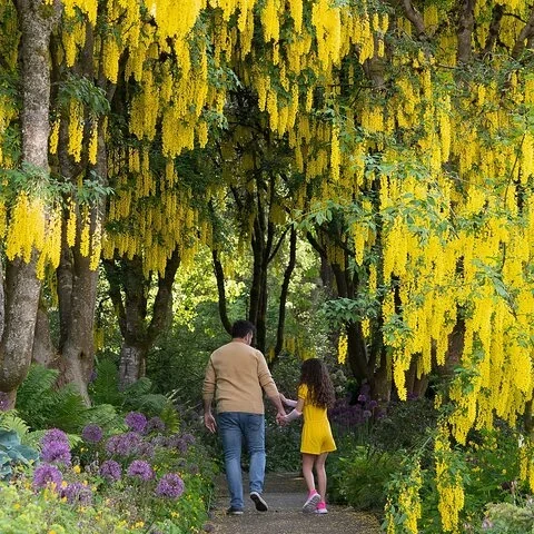 Pflanzen, Kunst und Heckenirrgarten im VanDusen