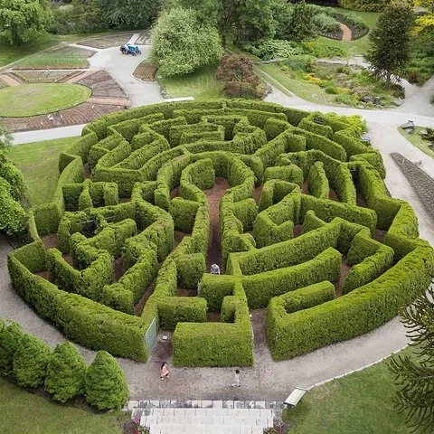 Pflanzen, Kunst und Heckenirrgarten im VanDusen