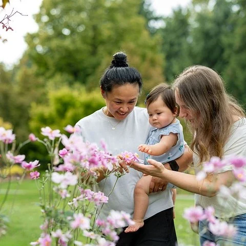 Pflanzen, Kunst und Heckenirrgarten im VanDusen