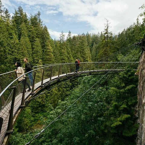 Billet Capilano Suspension Bridge Park | Vancouver