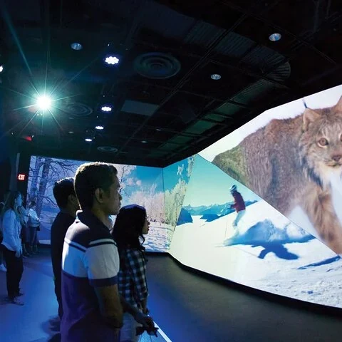 Experience Canada's landscapes on a simulated flight in Vancouver