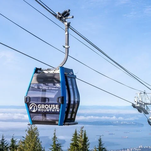 Fahre auf die Grouse Mountain und gestalte deinen Besuch