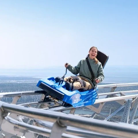 Fahre auf die Grouse Mountain und gestalte deinen Besuch