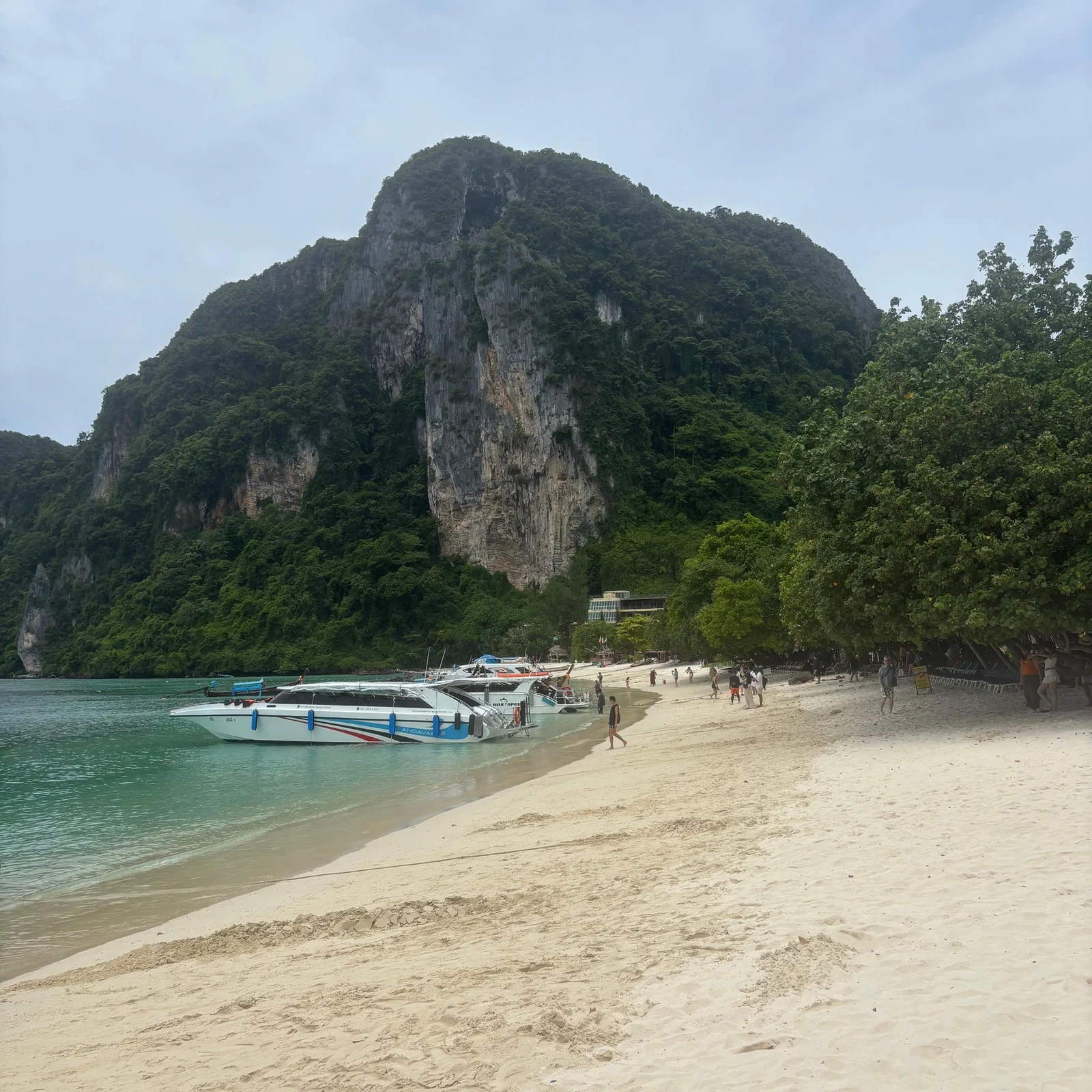 Phi Phi et Maya Bay depuis Phuket avec déjeuner | TourBookGo