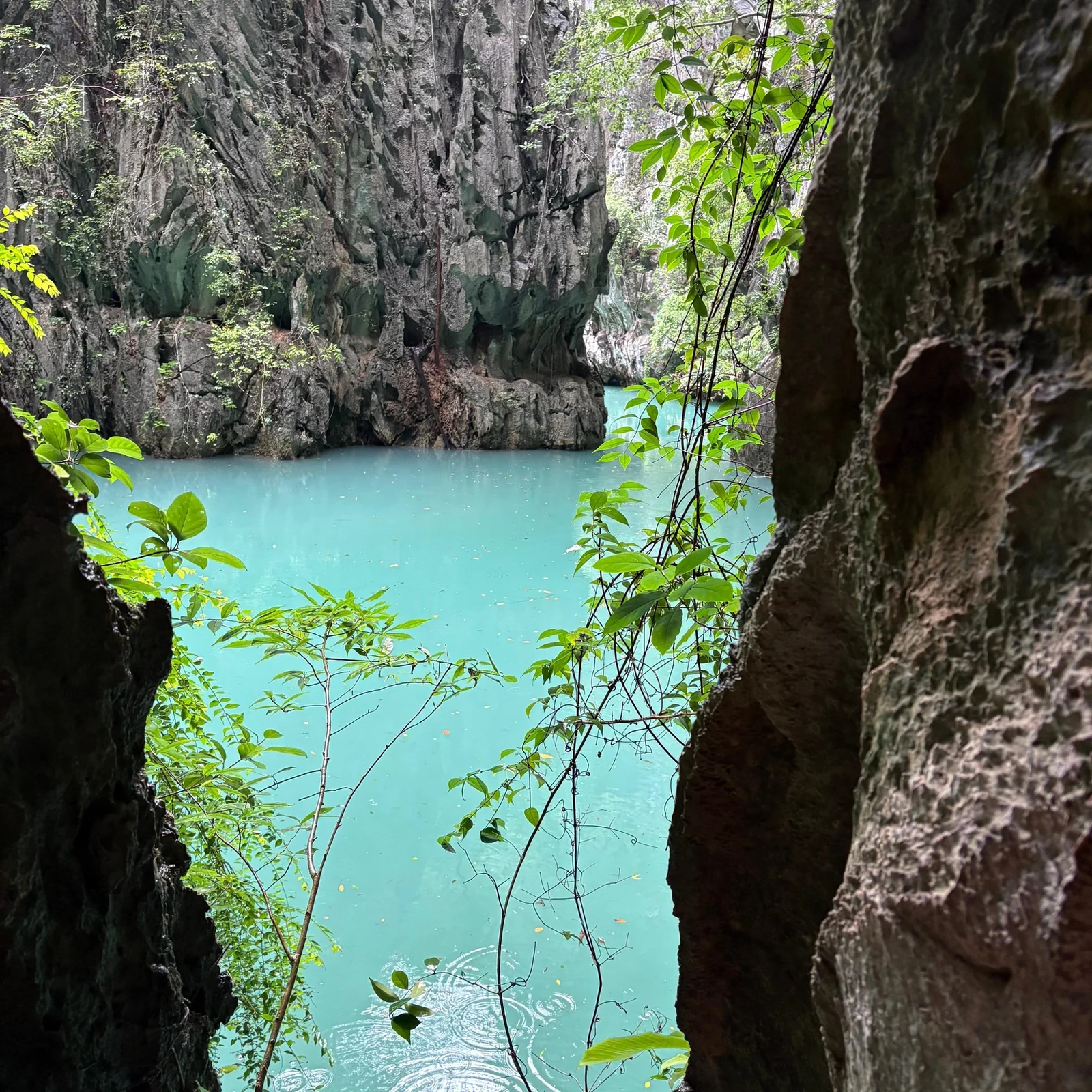 A day of islands, caves and beaches in Phang Nga Bay