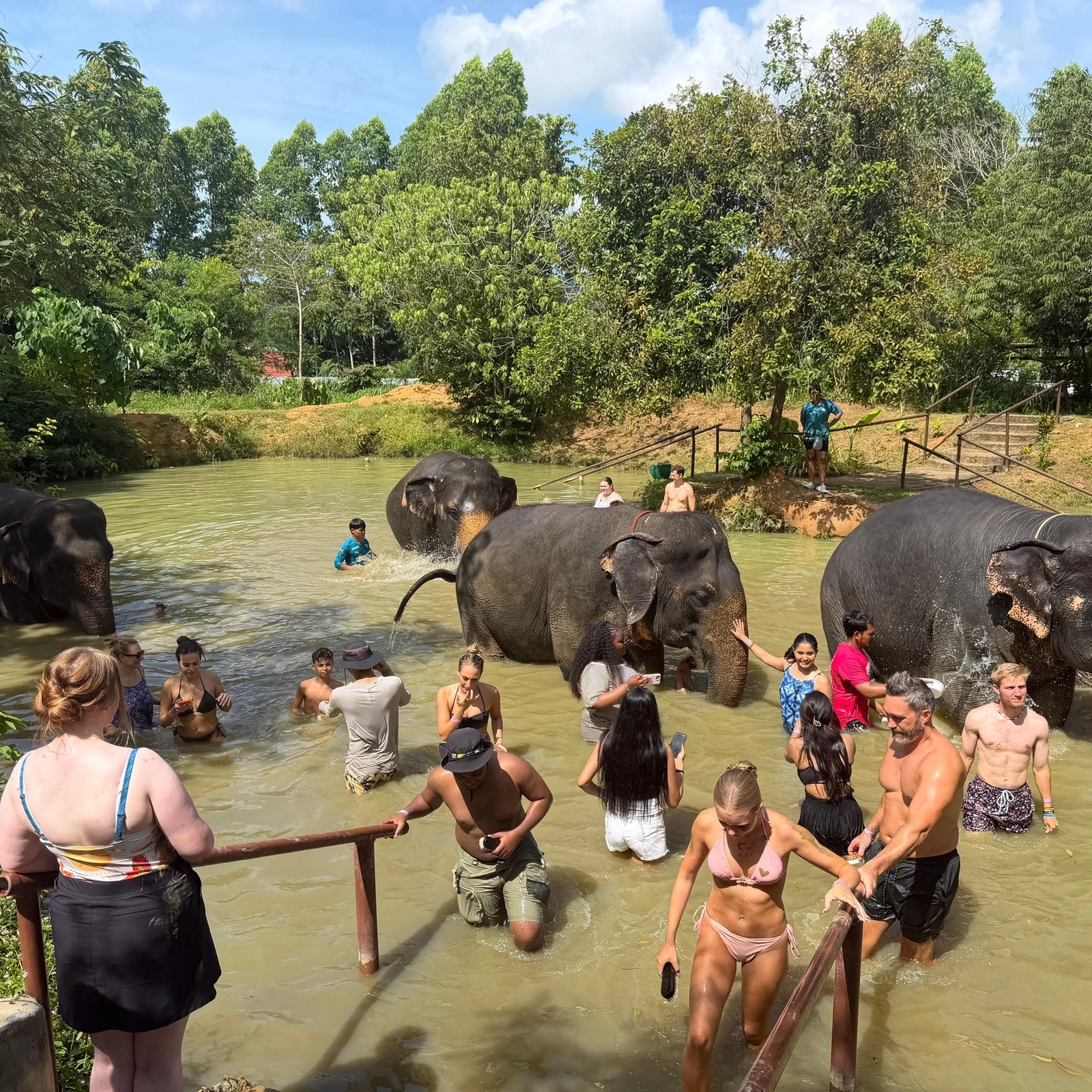Elephant Jungle Sanctuary Phuket : visite avec repas