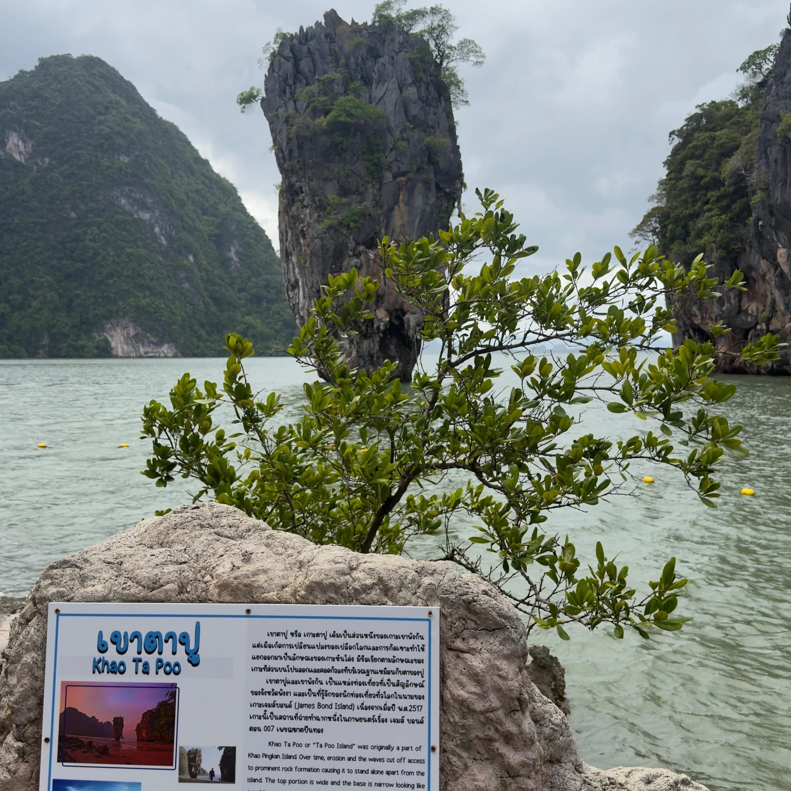 Phuket : canoë à Phang Nga, coucher de soleil et plancton