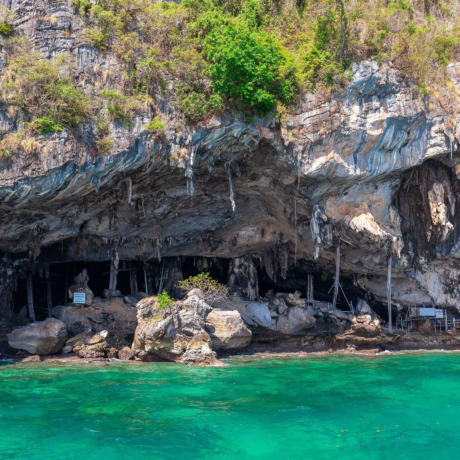 Phi Phi, Maya Bay et Khai en une journée depuis Phuket