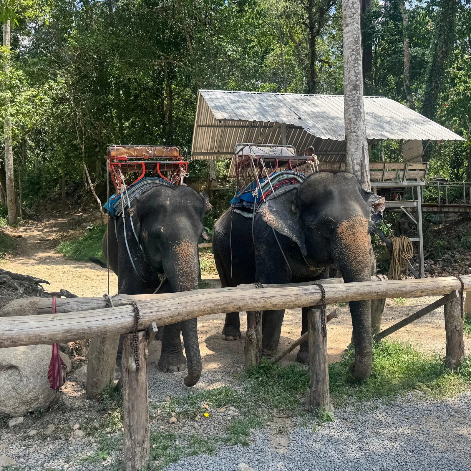 From Phuket, a day of bamboo rafting with an optional ATV ride