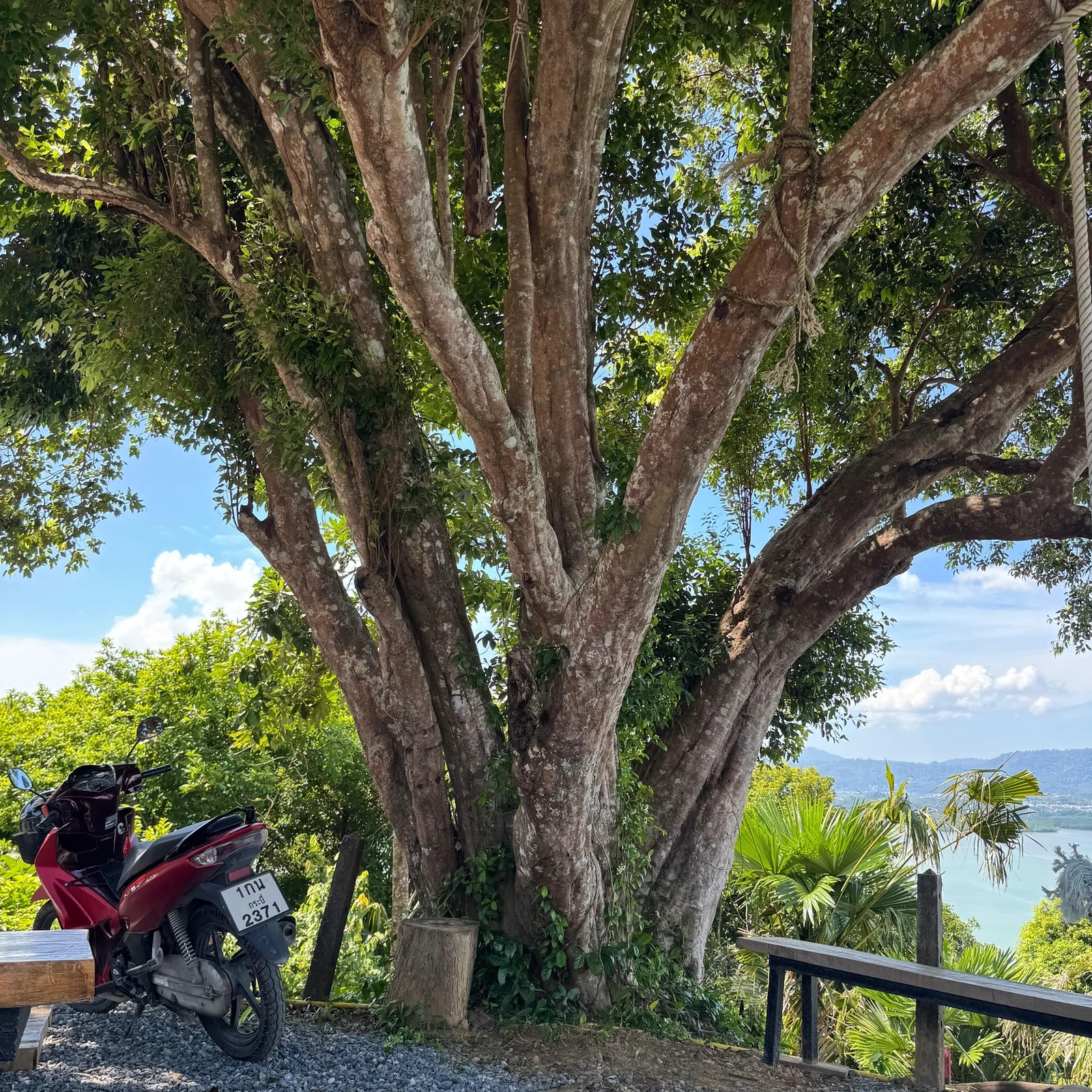 Mit dem Quad durch Phukets Dschungel und zum Meerblick
